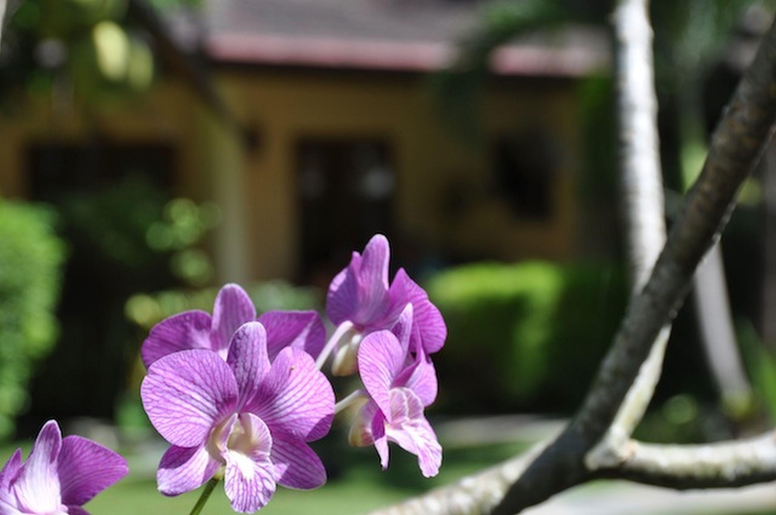 Palm Garden Resort Rawai Exterior photo